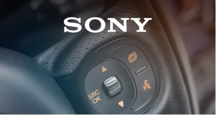 Sony Steering Wheel Controls